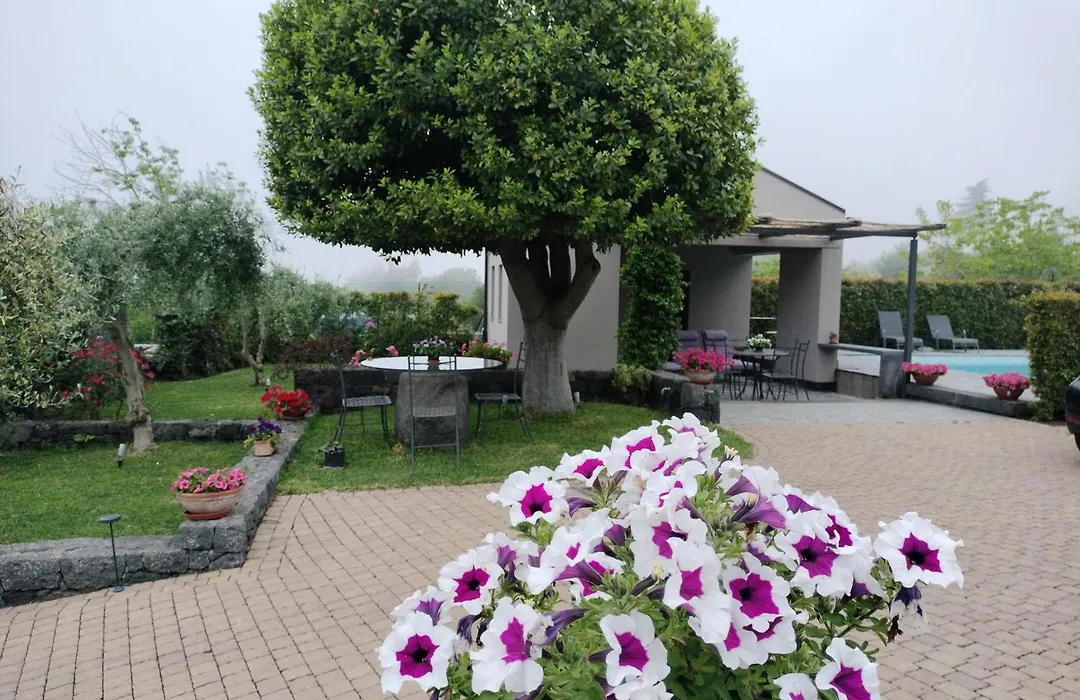 La Casa dell'Alloro-1