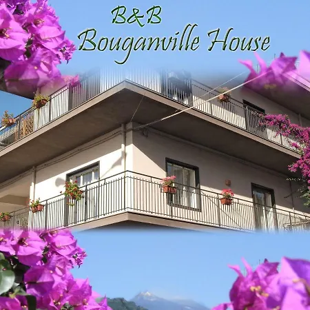 Bouganville House-2